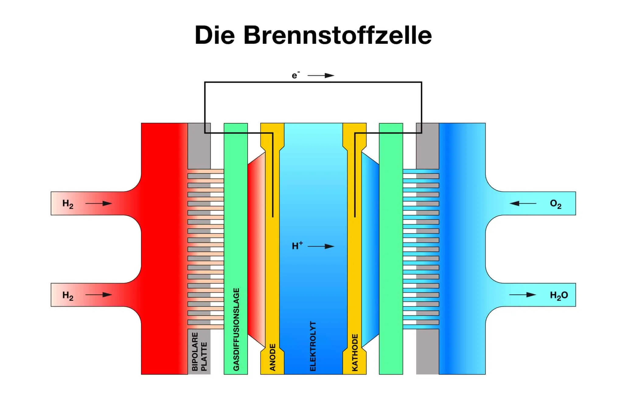 Funktionsweise einer Brennstoffzelle: Wasserstoff und Sauerstoff reagieren zu Wasser